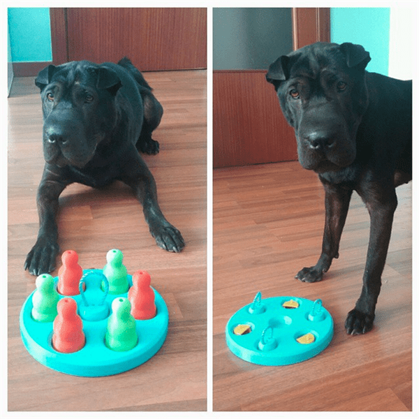 3D printable 'Dog's Game'